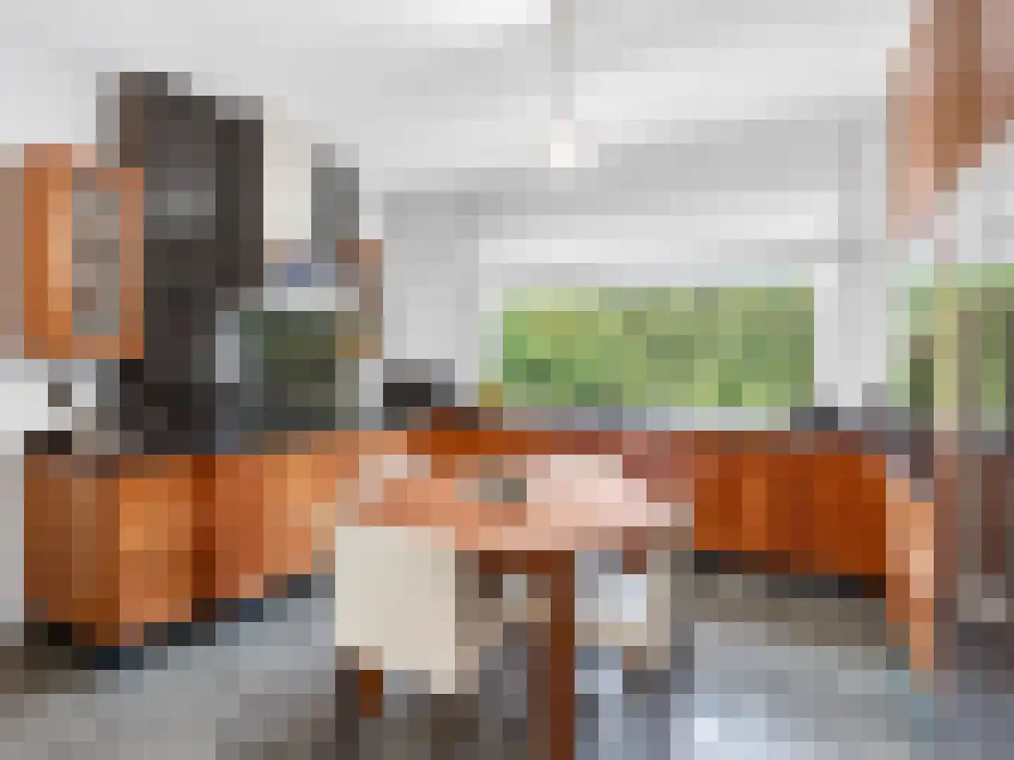 Klein Belgie 4 3650 Vijfhuizen thumbnail 12