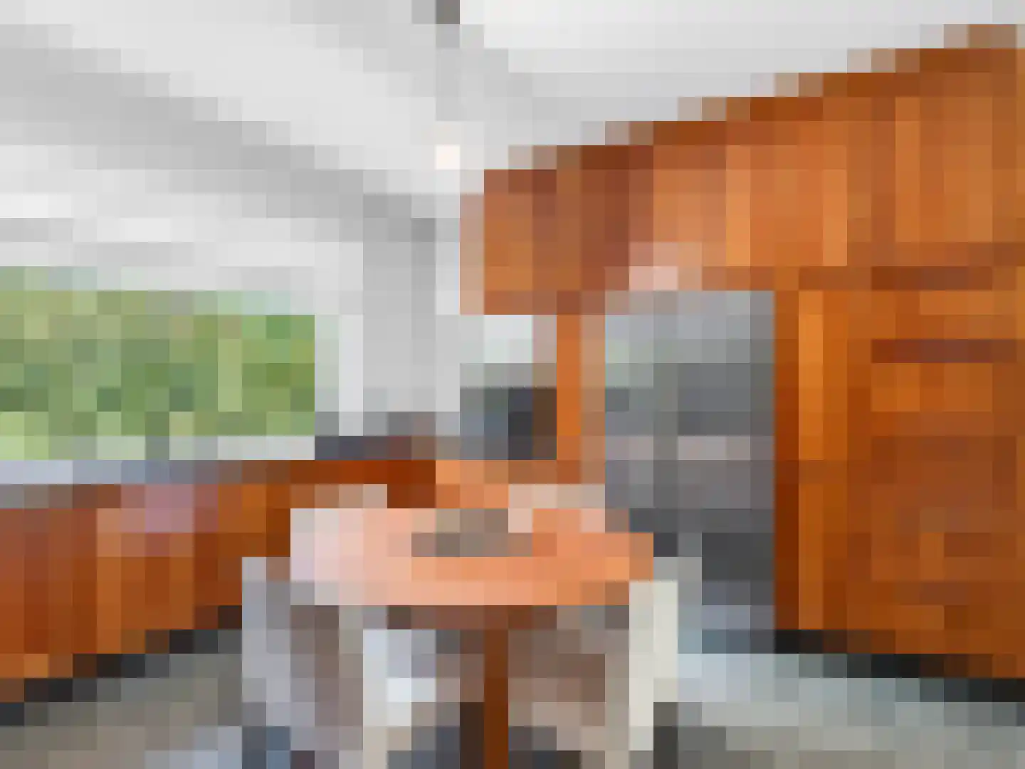 Klein Belgie 4 3650 Vijfhuizen thumbnail 14
