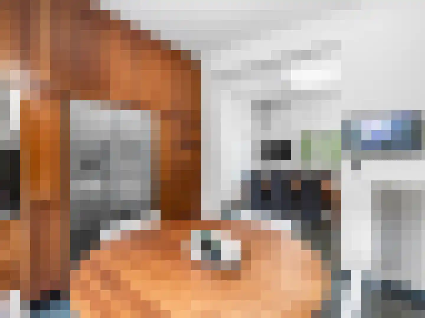Klein Belgie 4 3650 Vijfhuizen thumbnail 15