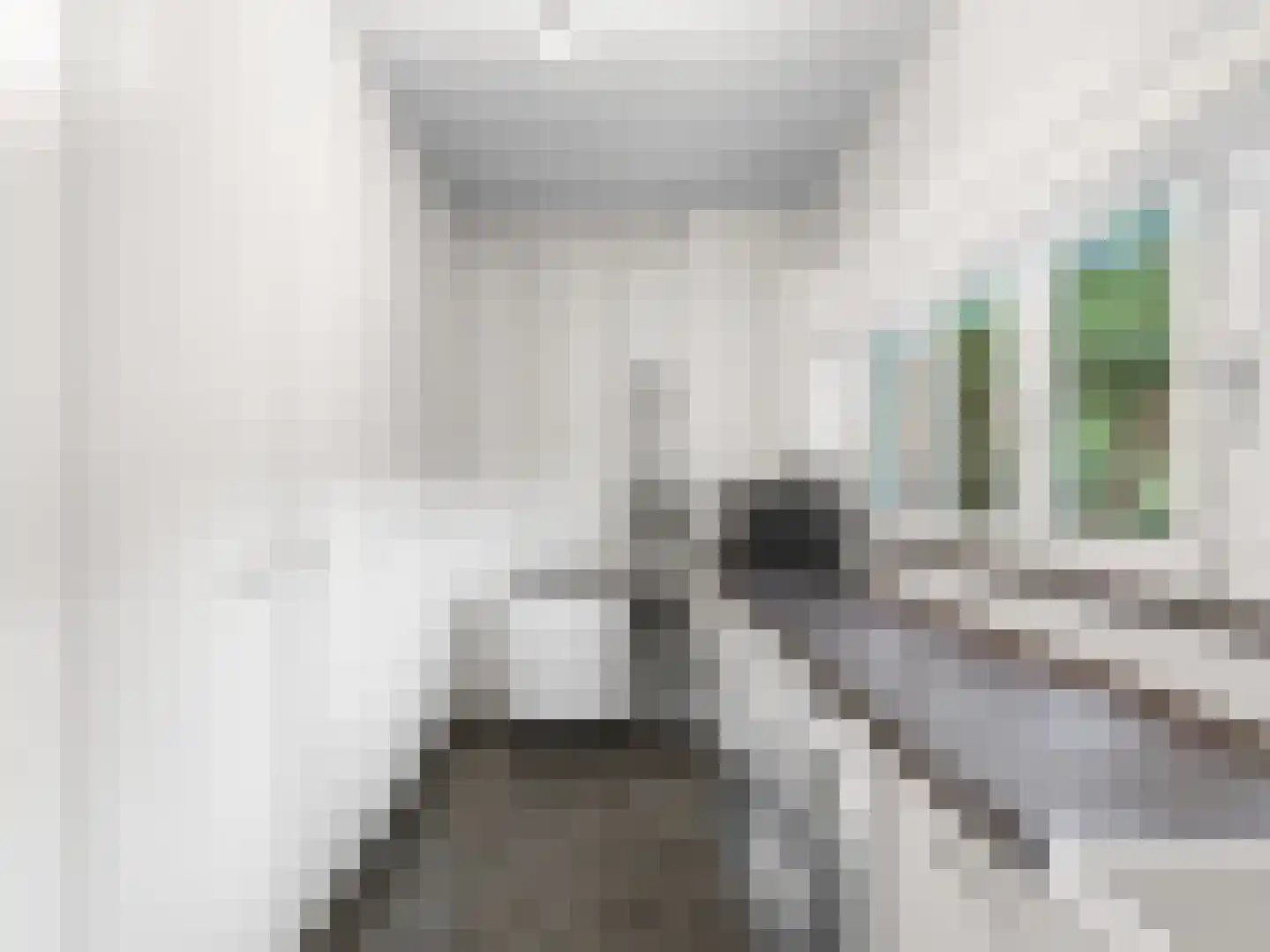 Klein Belgie 4 3650 Vijfhuizen thumbnail 16