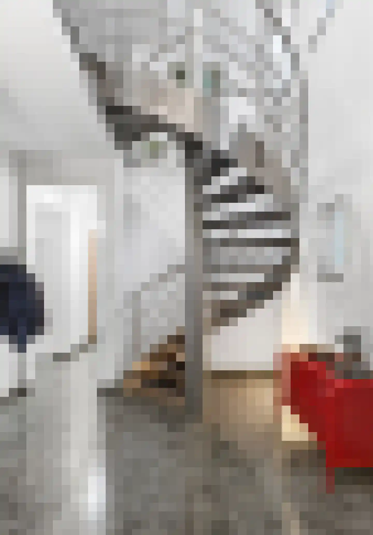 Klein Belgie 4 3650 Vijfhuizen thumbnail 19