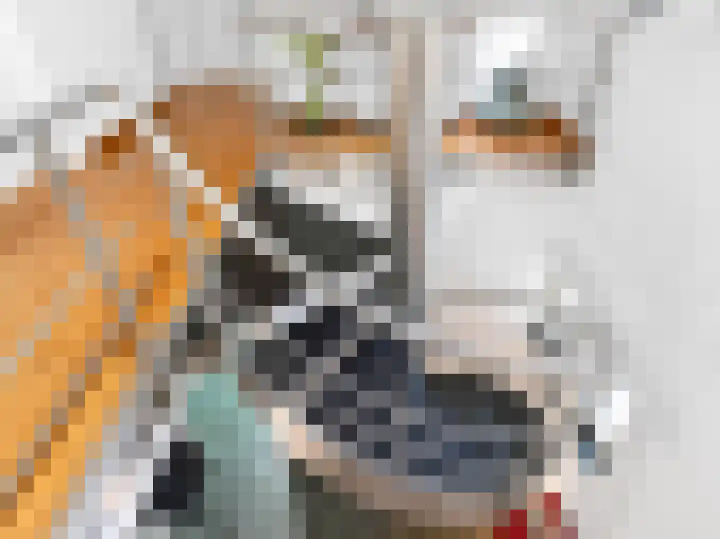 Klein Belgie 4 3650 Vijfhuizen thumbnail 20