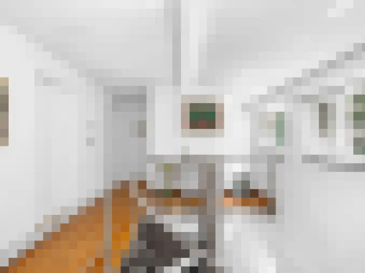 Klein Belgie 4 3650 Vijfhuizen thumbnail 21