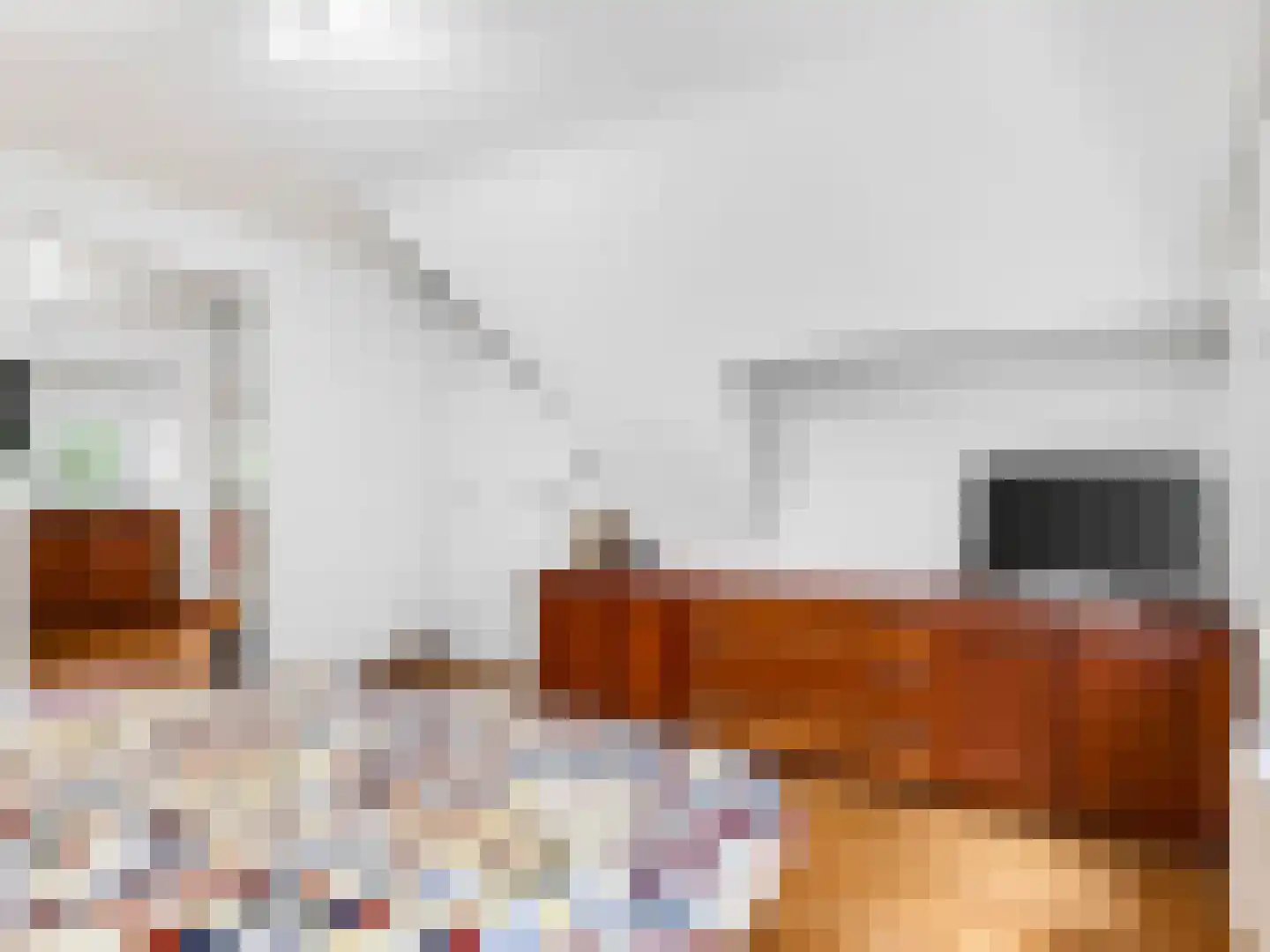 Klein Belgie 4 3650 Vijfhuizen thumbnail 24