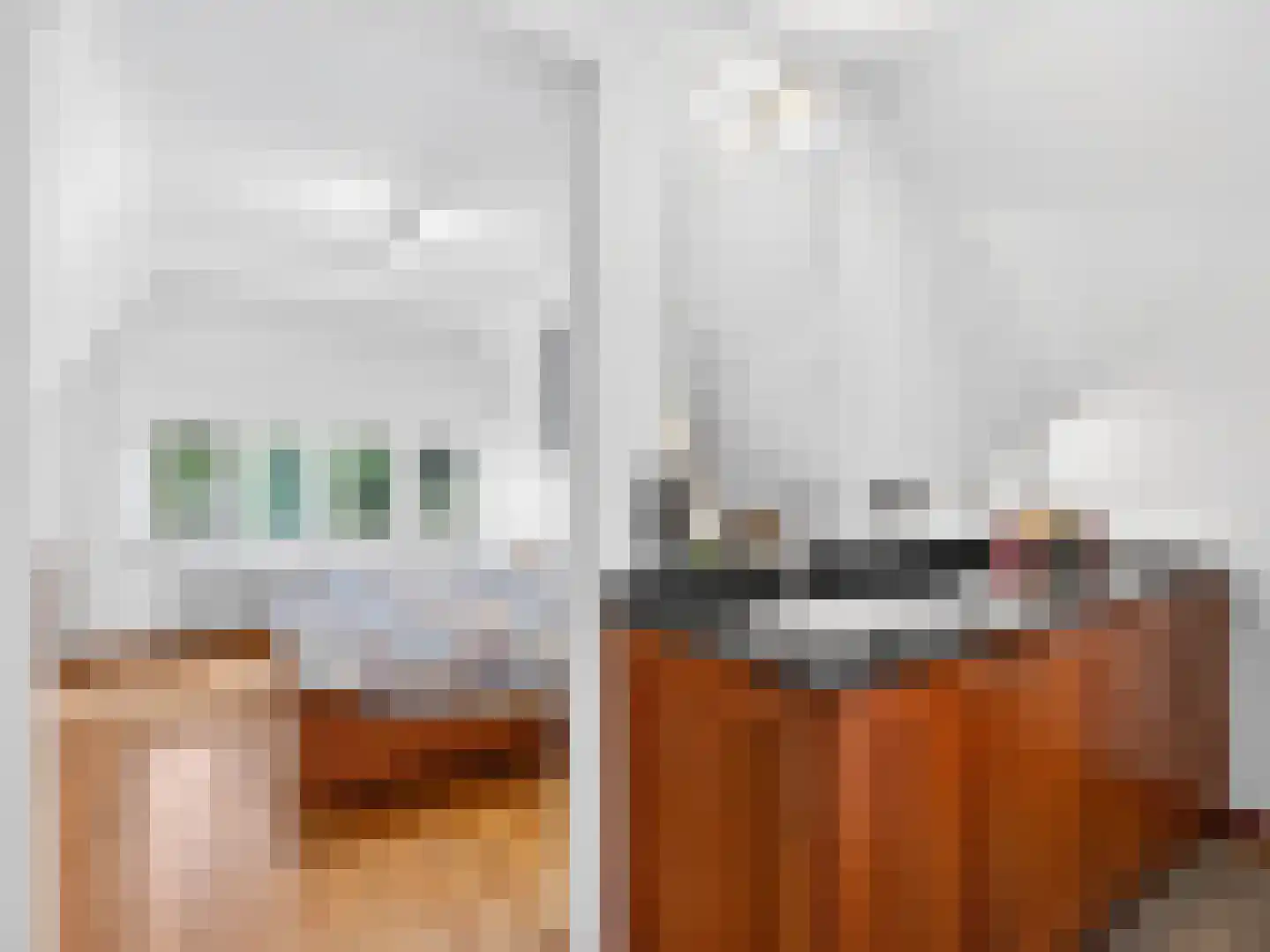 Klein Belgie 4 3650 Vijfhuizen thumbnail 25