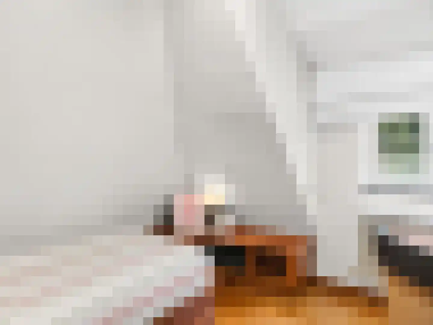 Klein Belgie 4 3650 Vijfhuizen thumbnail 28