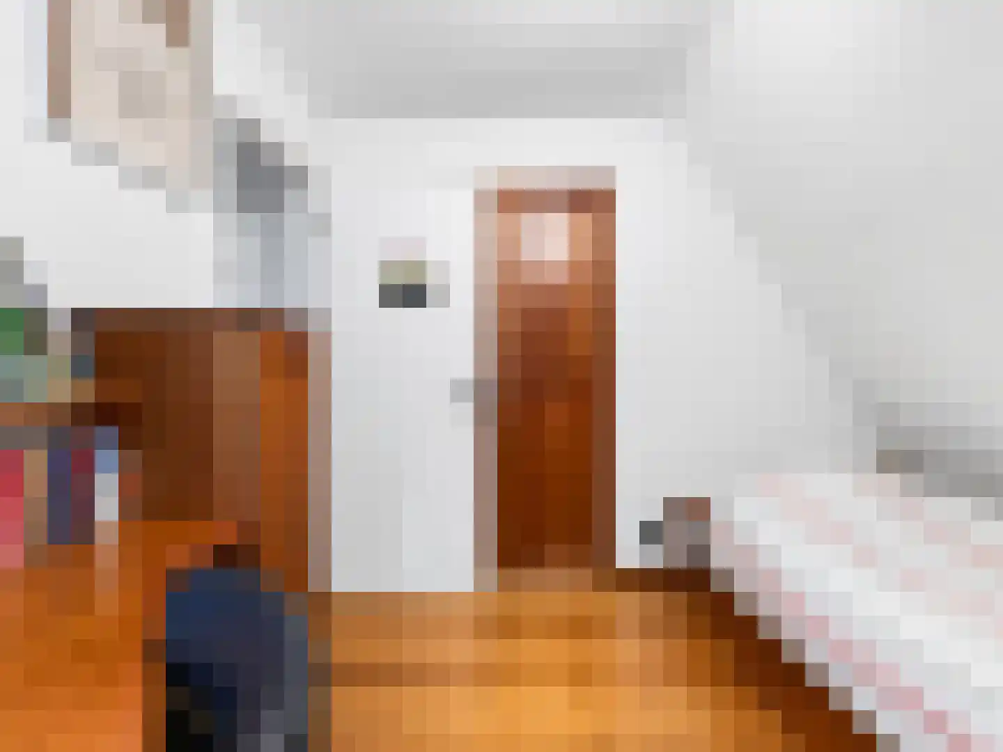 Klein Belgie 4 3650 Vijfhuizen thumbnail 29