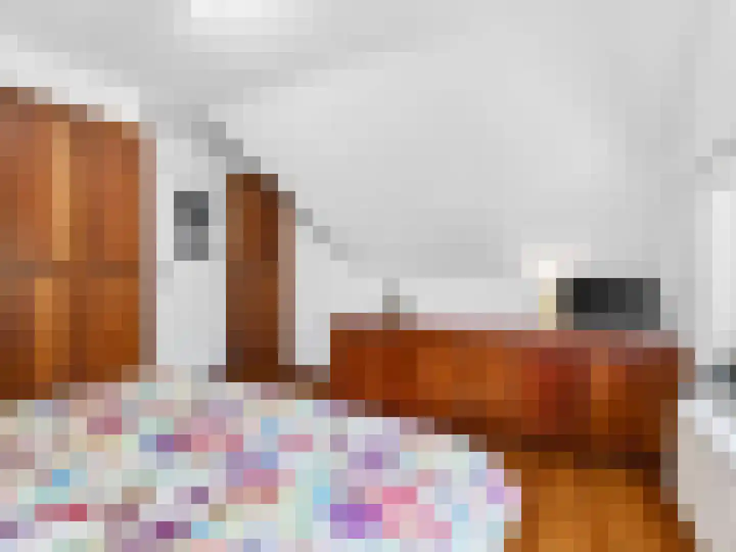 Klein Belgie 4 3650 Vijfhuizen thumbnail 30
