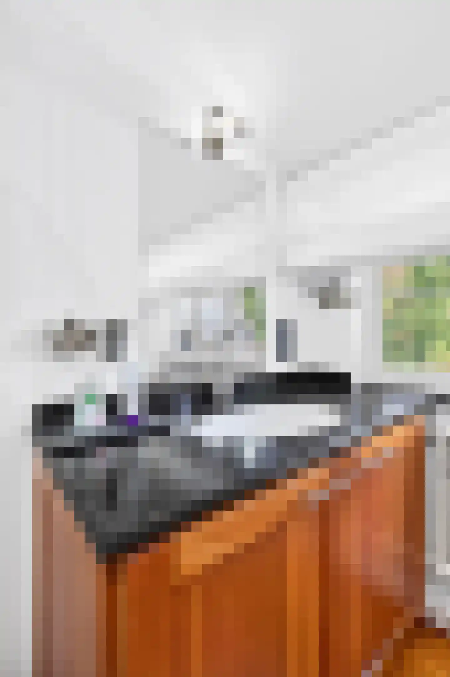 Klein Belgie 4 3650 Vijfhuizen thumbnail 31