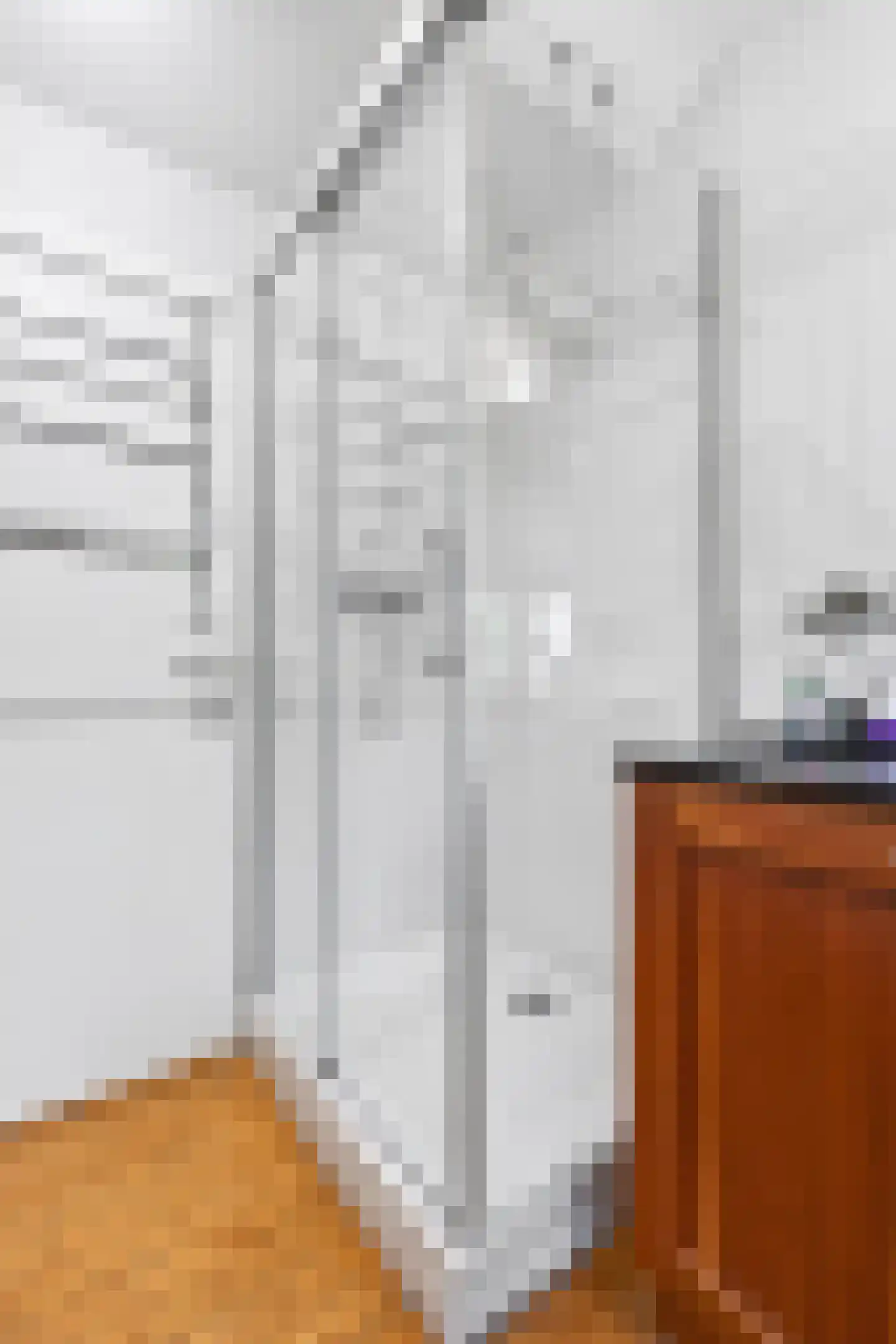 Klein Belgie 4 3650 Vijfhuizen thumbnail 33