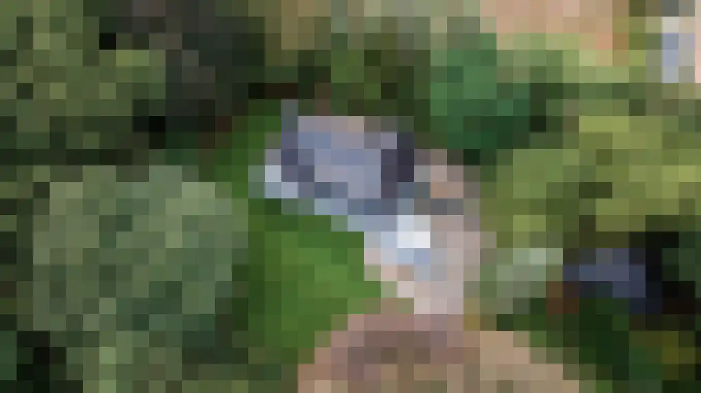 Klein Belgie 4 3650 Vijfhuizen thumbnail 34
