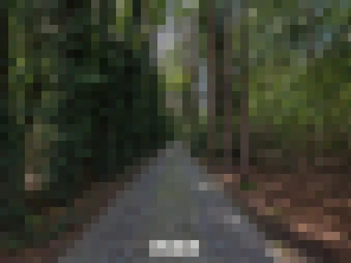 Klein Belgie 4 3650 Vijfhuizen thumbnail 36