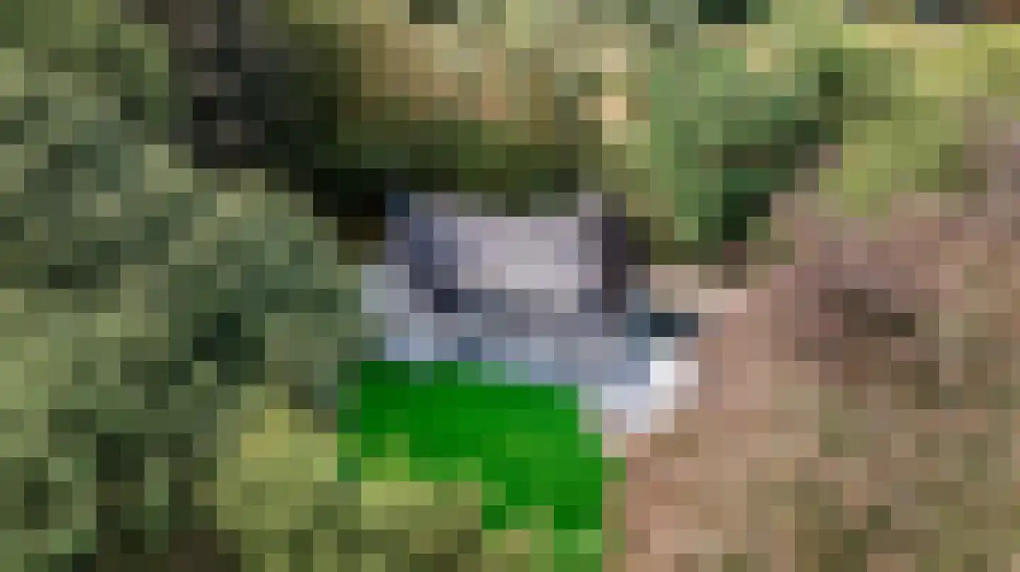 Klein Belgie 4 3650 Vijfhuizen thumbnail 4