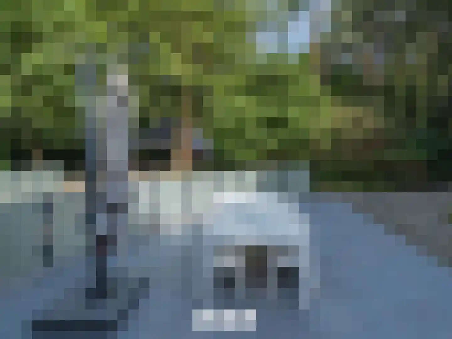 Klein Belgie 4 3650 Vijfhuizen thumbnail 40