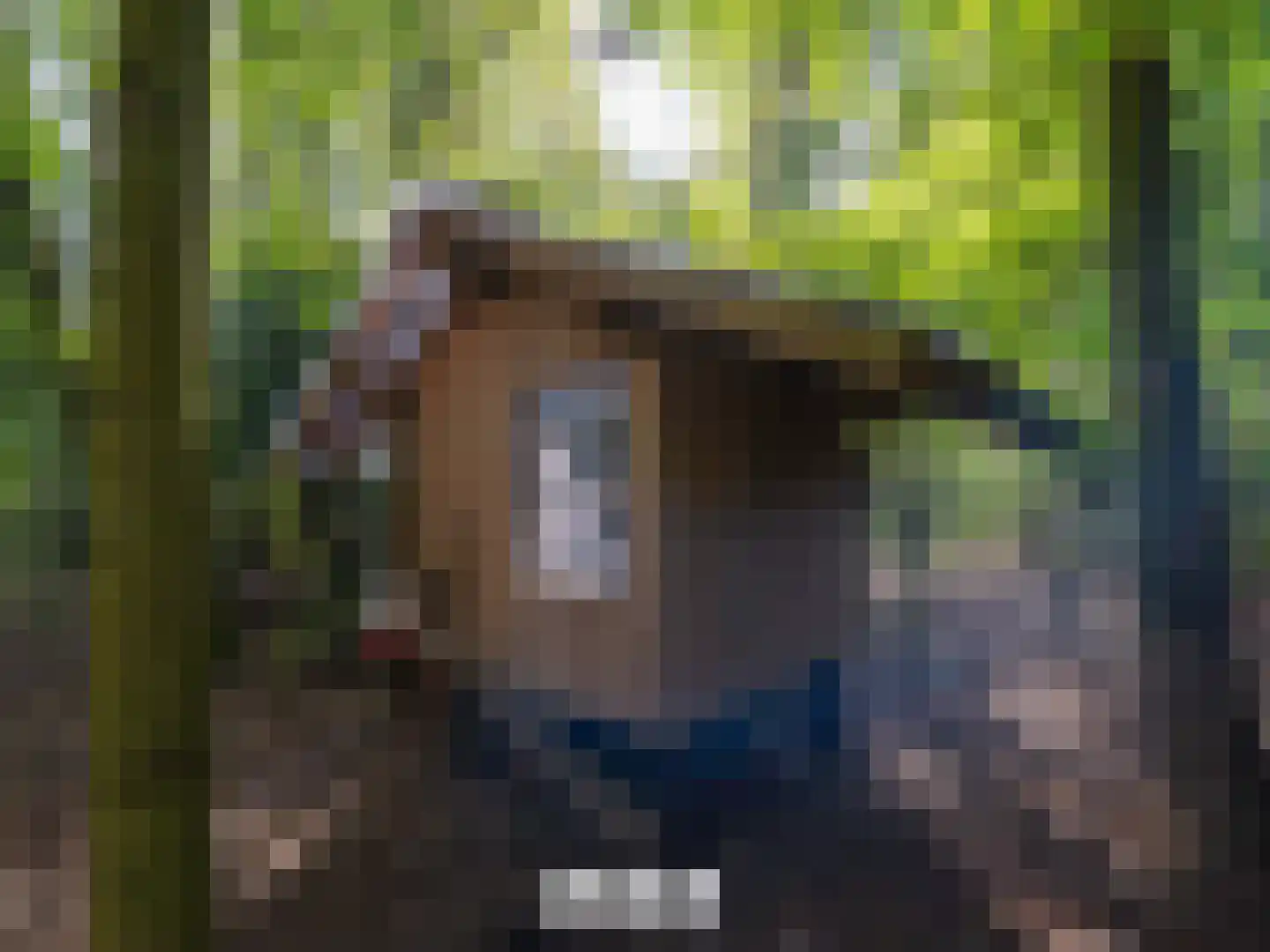 Klein Belgie 4 3650 Vijfhuizen thumbnail 44