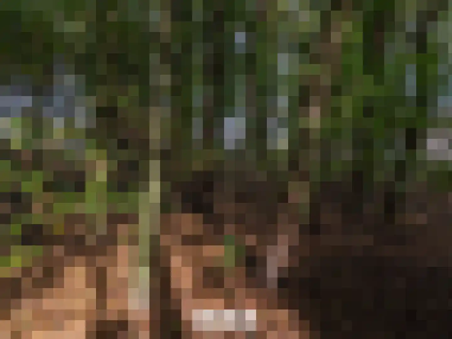 Klein Belgie 4 3650 Vijfhuizen thumbnail 45