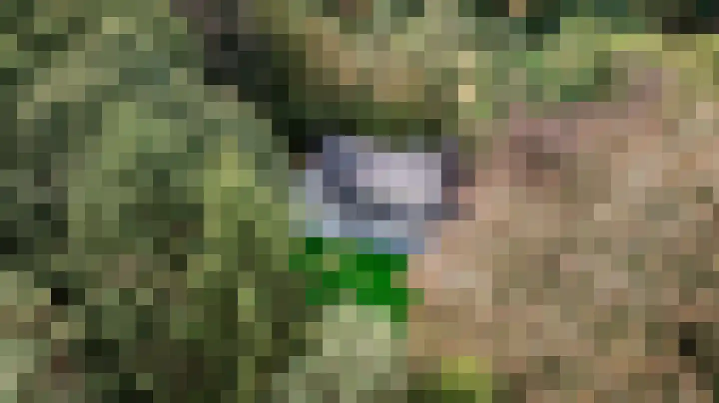 Klein Belgie 4 3650 Vijfhuizen thumbnail 46