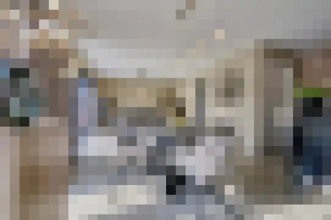 Klein Belgie 4 a Vijfhuizen thumbnail 10