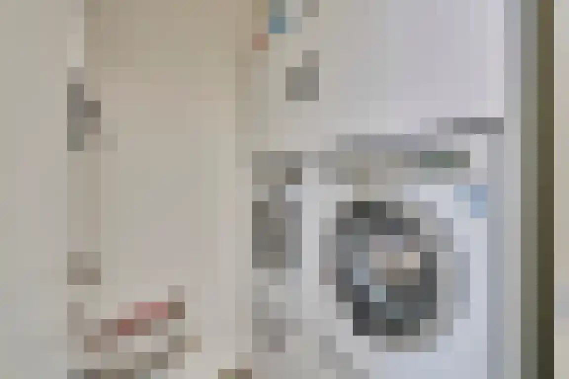 Klein Belgie 4 a Vijfhuizen thumbnail 15