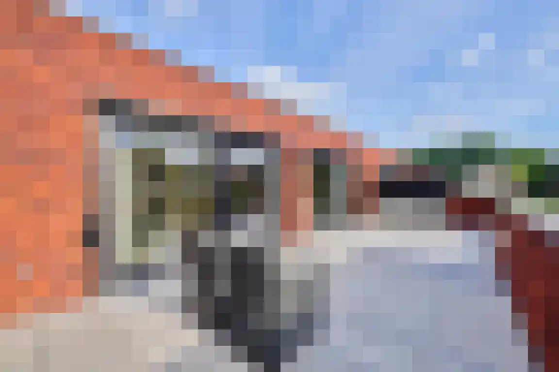 Klein Belgie 4 a Vijfhuizen thumbnail 18