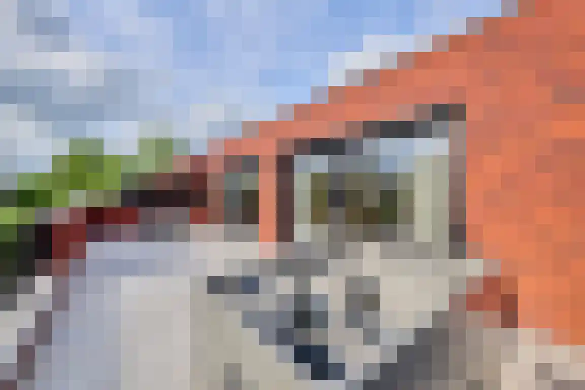 Klein Belgie 4 a Vijfhuizen thumbnail 19