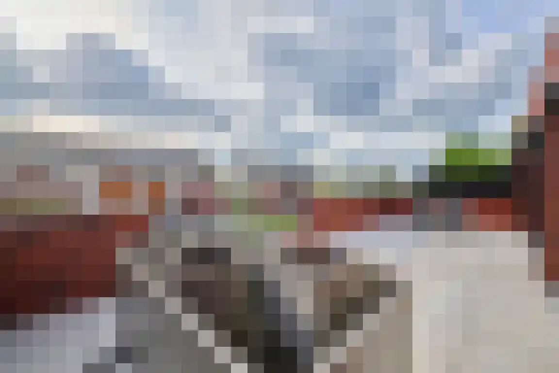 Klein Belgie 4 a Vijfhuizen thumbnail 20