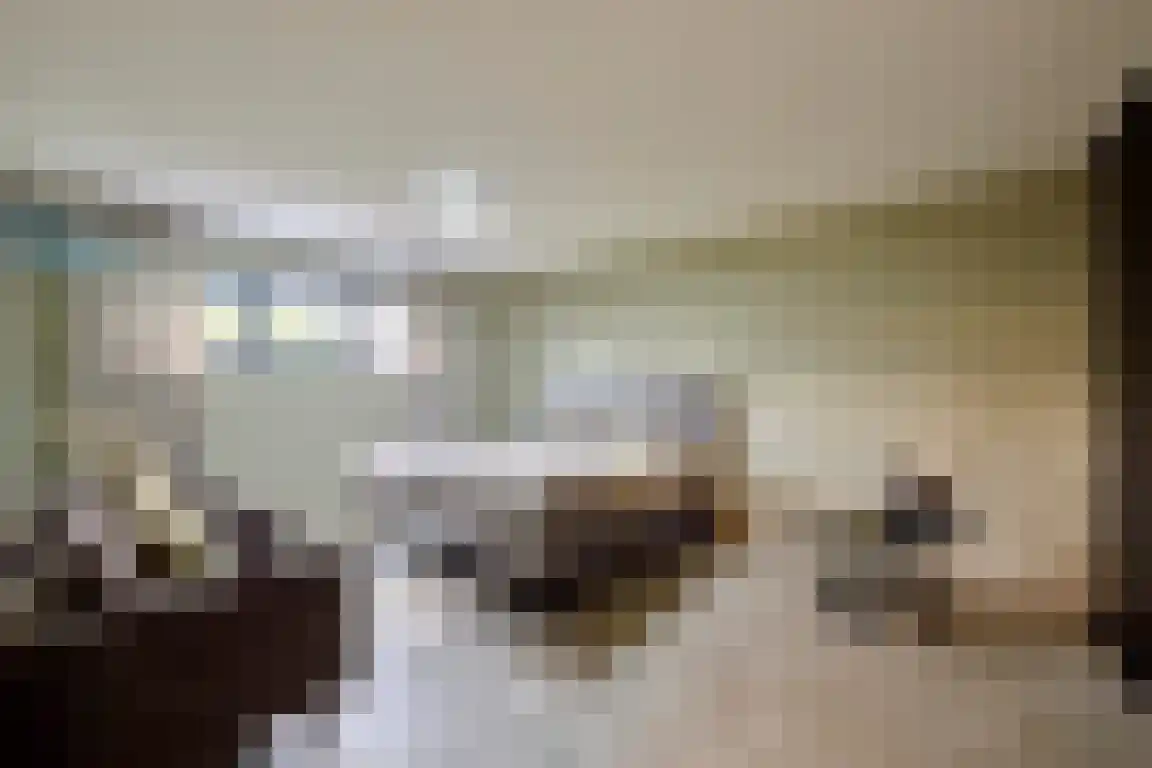 Klein Belgie 4 a Vijfhuizen thumbnail 22