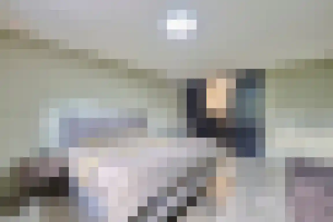 Klein Belgie 4 a Vijfhuizen thumbnail 24