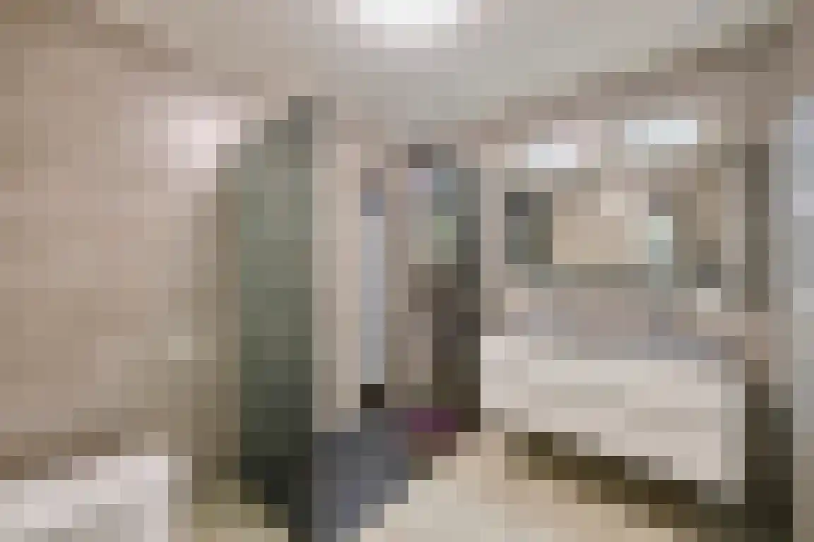 Klein Belgie 4 a Vijfhuizen thumbnail 26