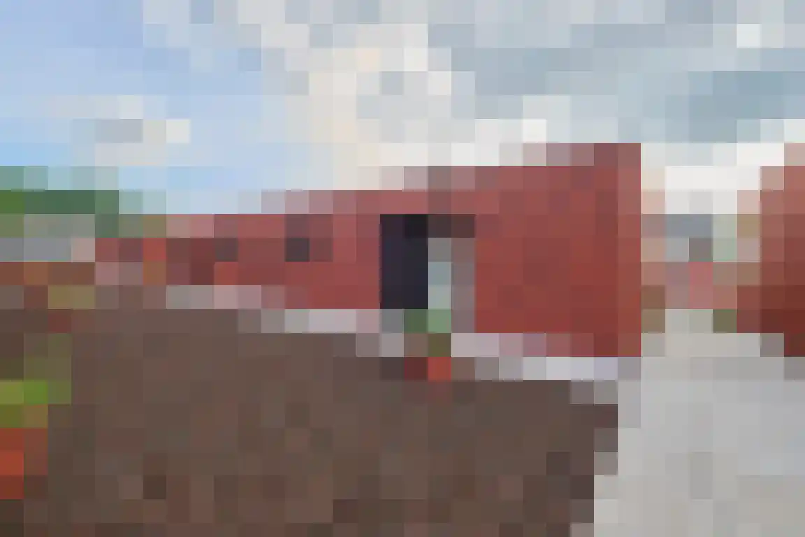 Klein Belgie 4 a Vijfhuizen thumbnail 30