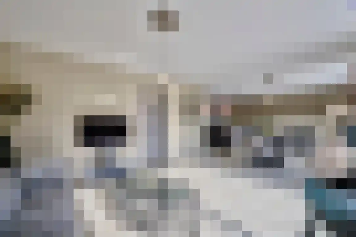 Klein Belgie 4 a Vijfhuizen thumbnail 8