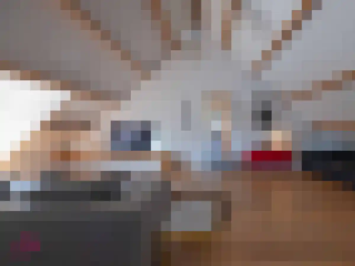 Klein Belgie 4 Vijfhuizen thumbnail 10