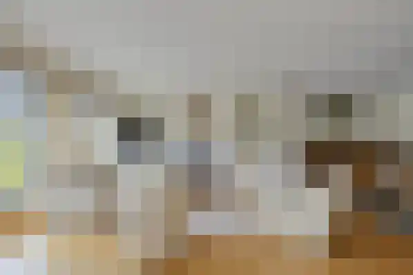 Klein Belgie 4 Vijfhuizen thumbnail 11