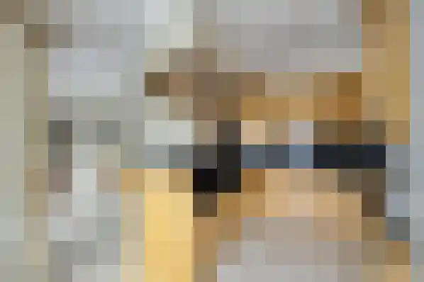 Klein Belgie 4 Vijfhuizen thumbnail 16