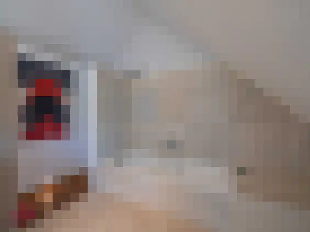 Klein Belgie 4 Vijfhuizen thumbnail 19