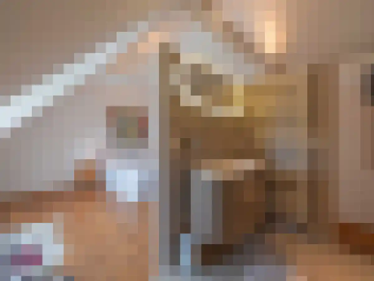 Klein Belgie 4 Vijfhuizen thumbnail 20
