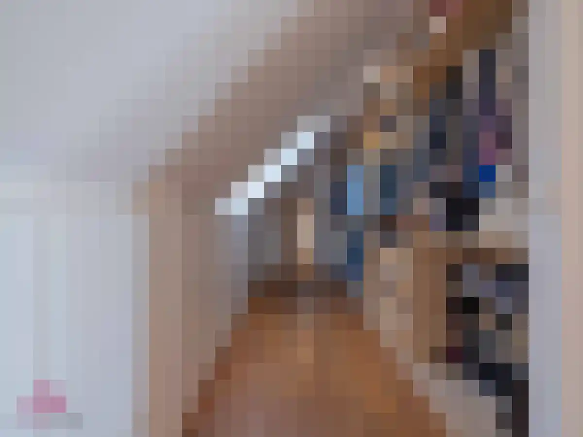 Klein Belgie 4 Vijfhuizen thumbnail 21