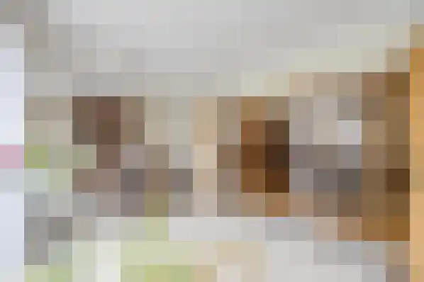 Klein Belgie 4 Vijfhuizen thumbnail 22
