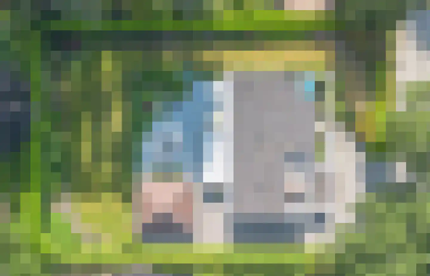 Klein Belgie 4 Vijfhuizen thumbnail 28
