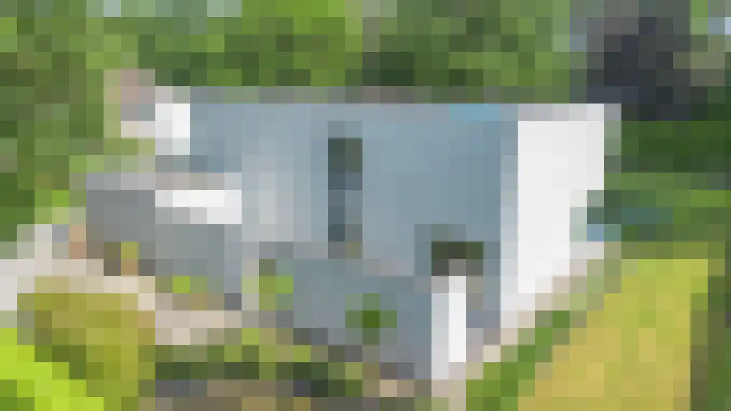 Klein Belgie 4 Vijfhuizen thumbnail 29