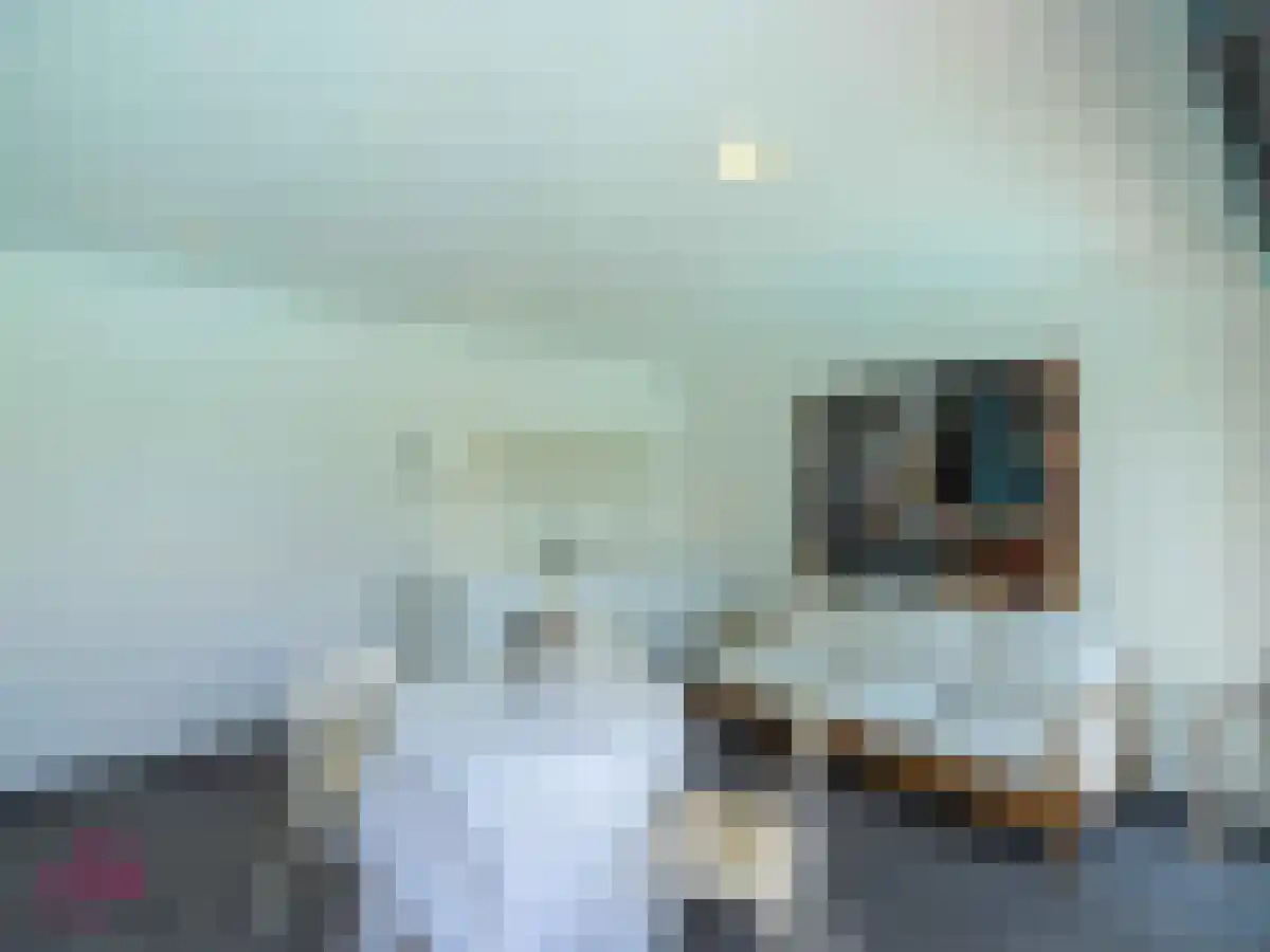 Klein Belgie 4 Vijfhuizen thumbnail 29