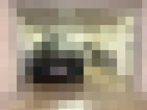 Klein Belgie 4 Vijfhuizen thumbnail 35