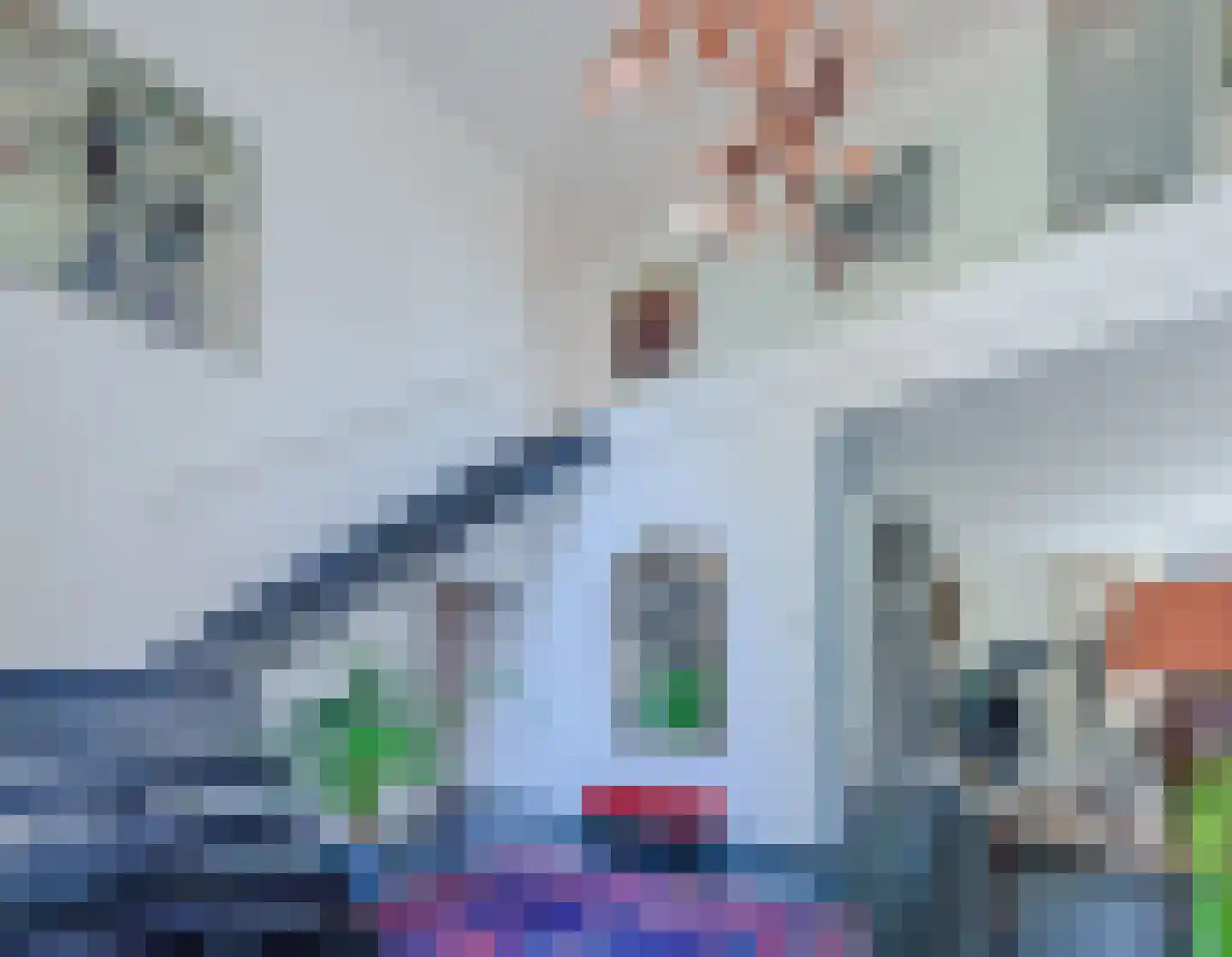 Klein Belgie 4 Vijfhuizen thumbnail 4
