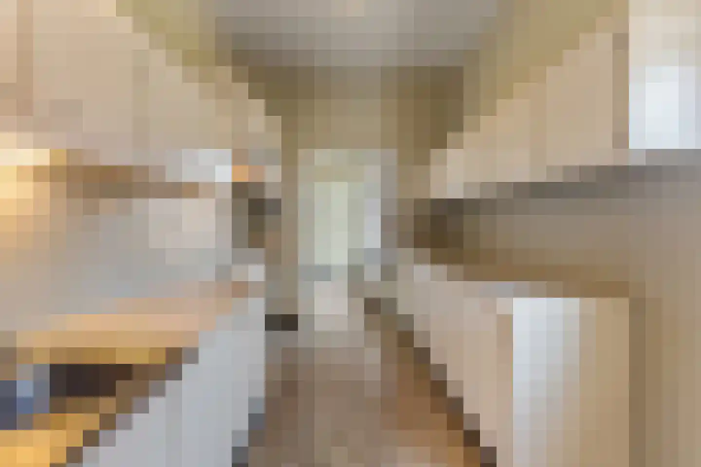 Klein Belgie 4 Vijfhuizen thumbnail 7