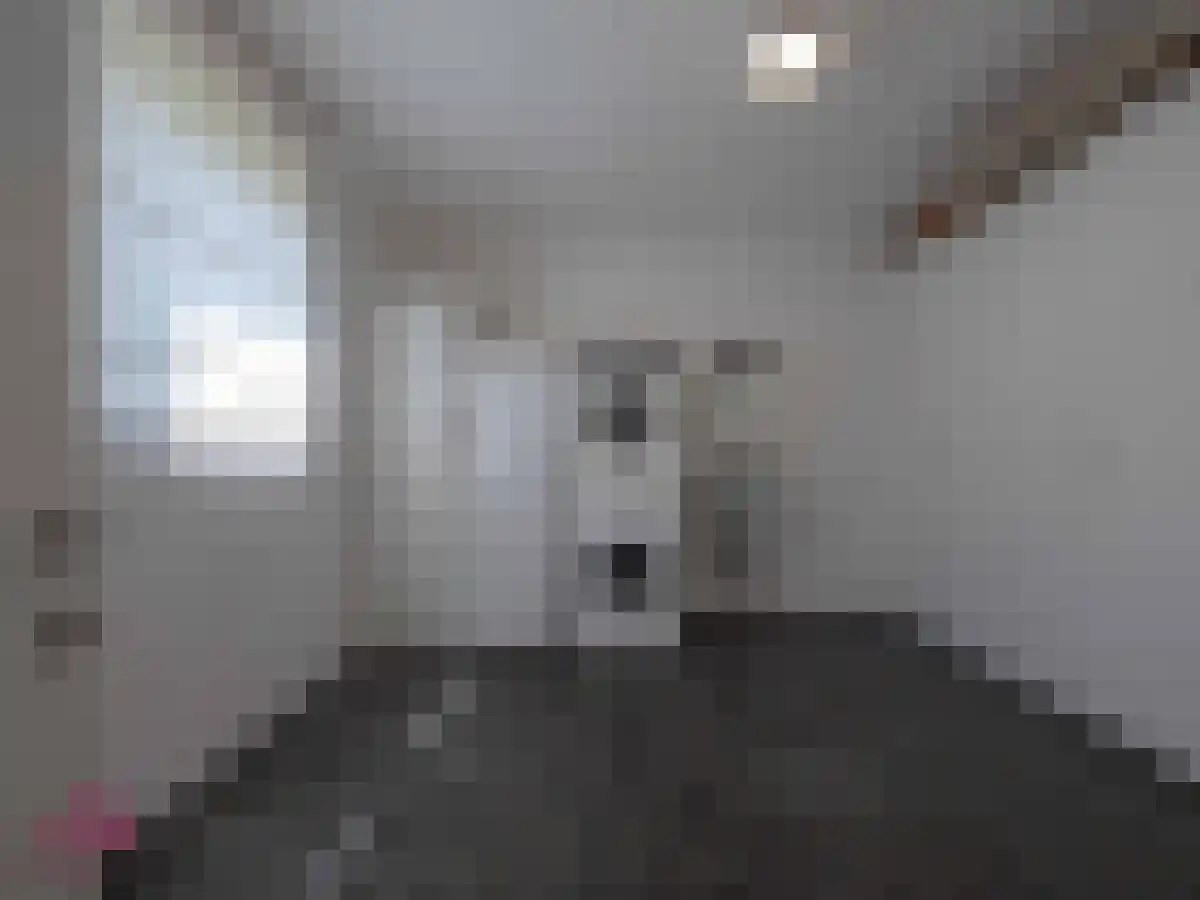 Klein Belgie 4 Vijfhuizen thumbnail 7