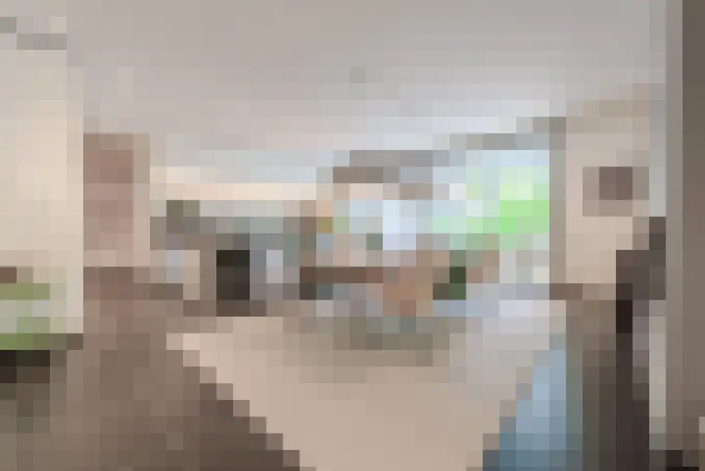 Klein Belgie 4 Vijfhuizen thumbnail 9
