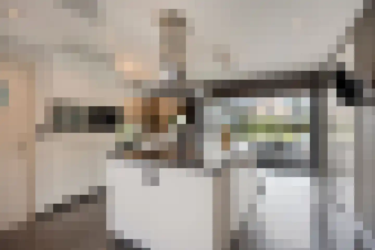 Klein Belgie 42 Vijfhuizen thumbnail 13