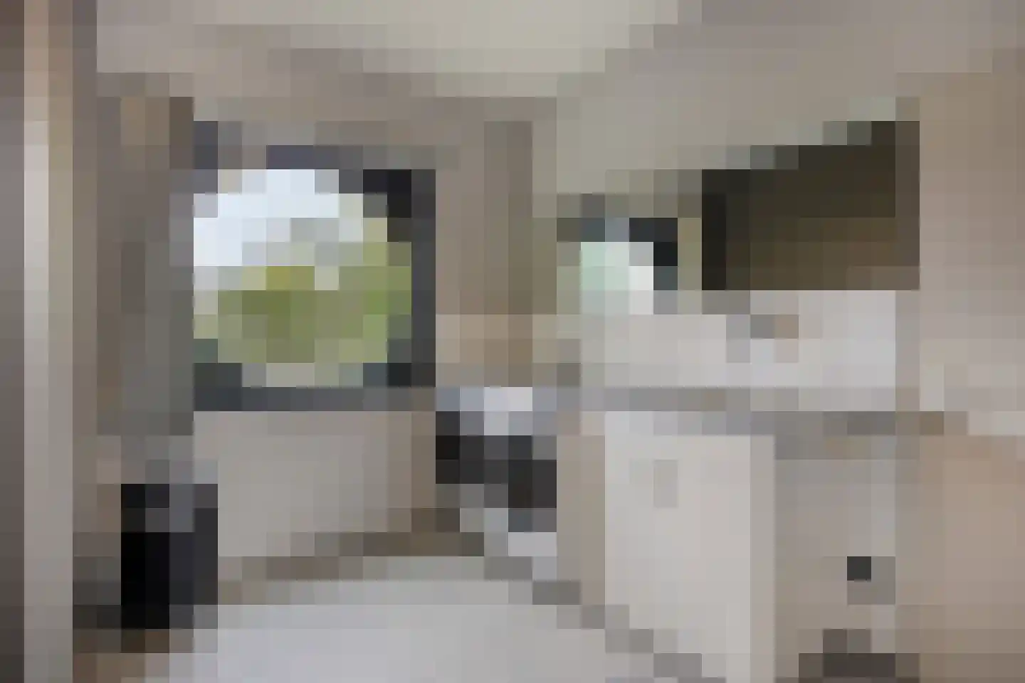 Klein Belgie 42 Vijfhuizen thumbnail 15