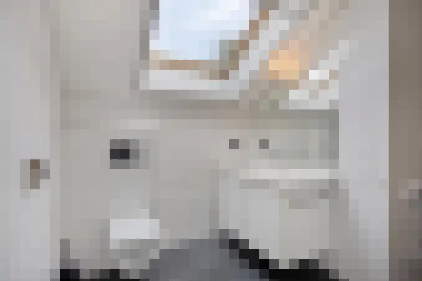 Klein Belgie 42 Vijfhuizen thumbnail 24