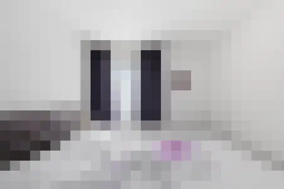 Klein Belgie 43 3770 Vijfhuizen thumbnail 24